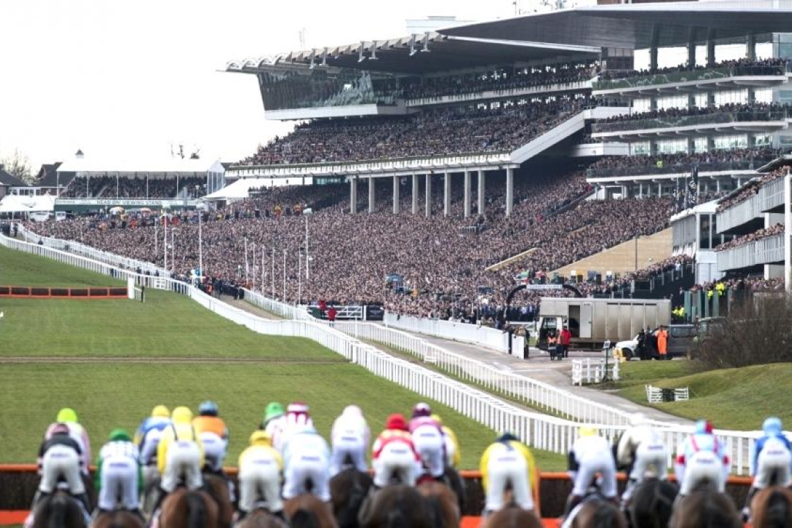 Z_CheltenhamRaces_copy_1