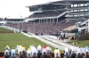 Z_CheltenhamRaces_copy_1